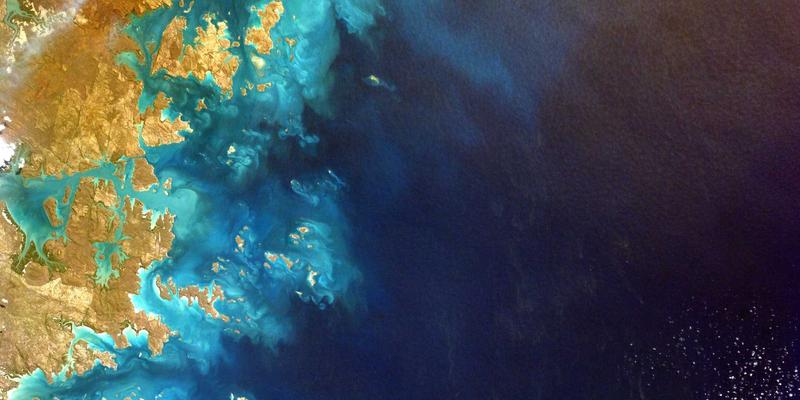 从零到一:在北京艺华成人油画班,如何将视觉识别与创意设计思维融入艺术创作